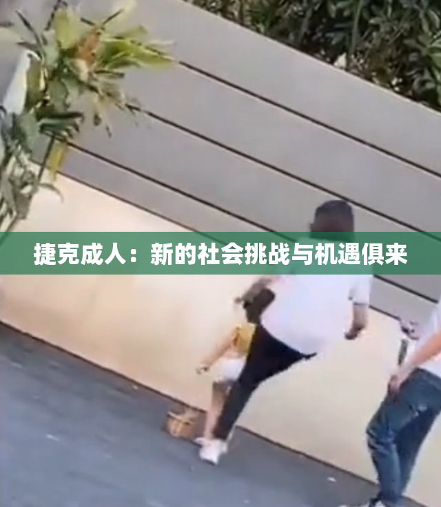 捷克成人：新的社会挑战与机遇俱来