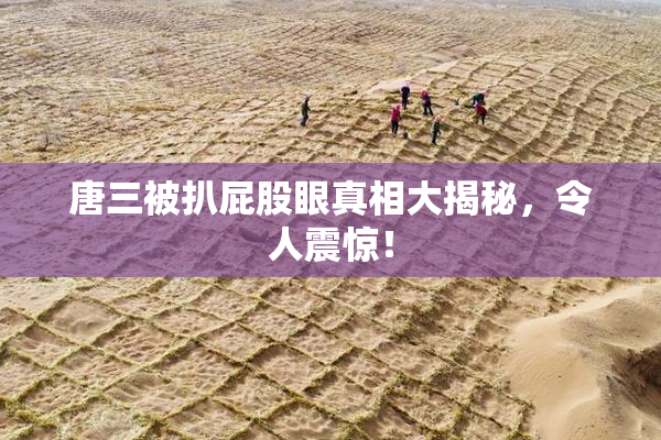 唐三被扒屁股眼真相大揭秘，令人震惊！