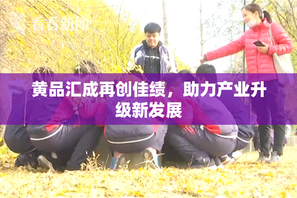 黄品汇成再创佳绩，助力产业升级新发展