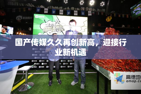 国产传媒久久再创新高，迎接行业新机遇