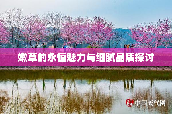 嫩草的永恒魅力与细腻品质探讨