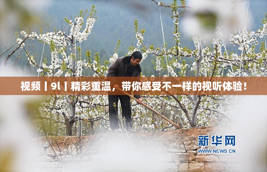 视频丨9l丨精彩重温，带你感受不一样的视听体验！