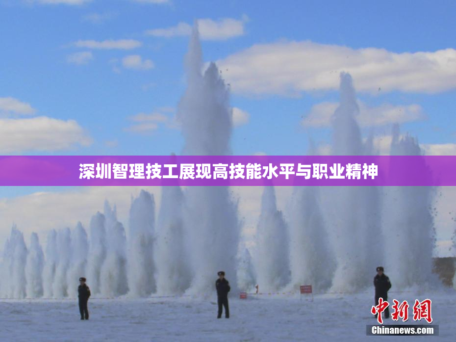 深圳智理技工展现高技能水平与职业精神