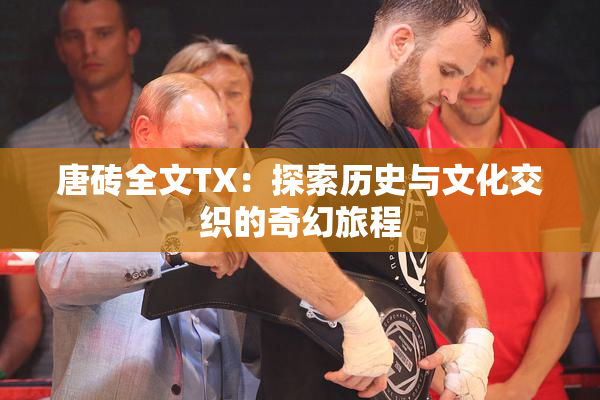 唐砖全文TX：探索历史与文化交织的奇幻旅程