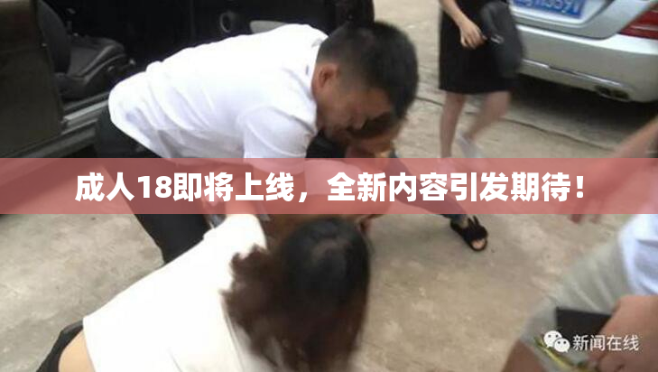成人18即将上线，全新内容引发期待！