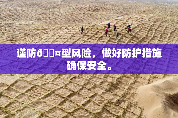 谨防🐤型风险，做好防护措施确保安全。