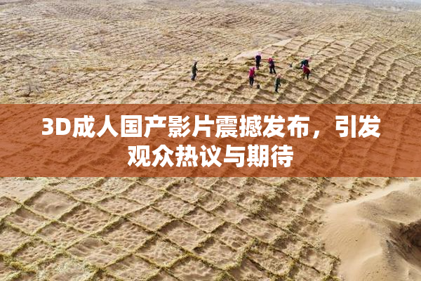 3D成人国产影片震撼发布，引发观众热议与期待