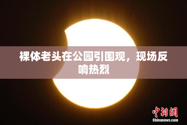 裸体老头在公园引围观，现场反响热烈