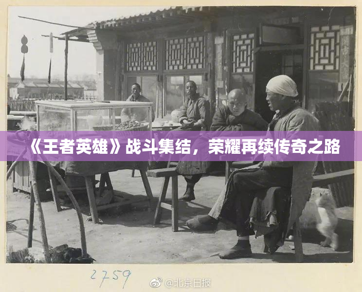《王者英雄》战斗集结，荣耀再续传奇之路