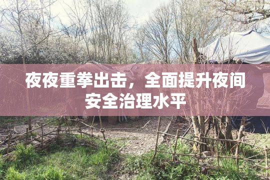 夜夜重拳出击，全面提升夜间安全治理水平