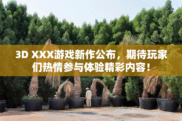 3D XXX游戏新作公布，期待玩家们热情参与体验精彩内容！