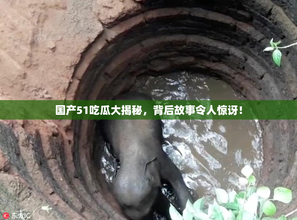 国产51吃瓜大揭秘，背后故事令人惊讶！
