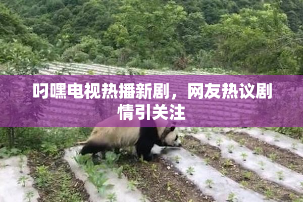 叼嘿电视热播新剧，网友热议剧情引关注