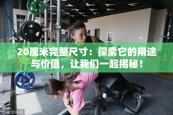 20厘米完整尺寸：探索它的用途与价值，让我们一起揭秘！
