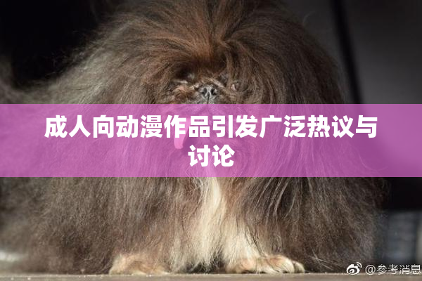 成人向动漫作品引发广泛热议与讨论