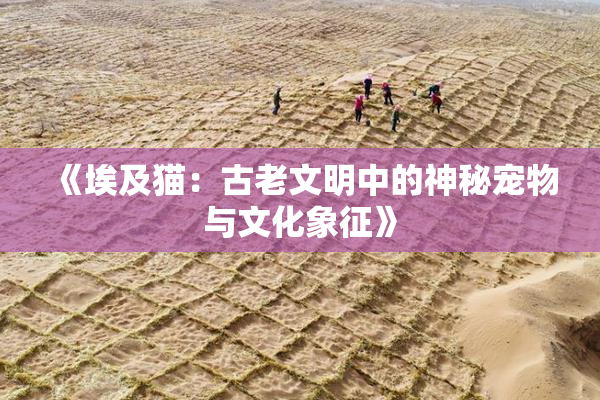 《埃及猫：古老文明中的神秘宠物与文化象征》