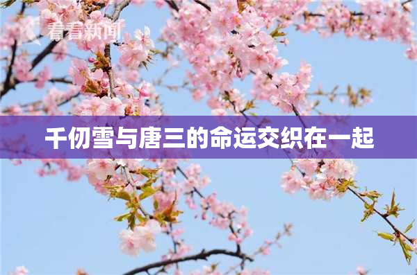 千仞雪与唐三的命运交织在一起