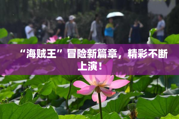 “海贼王”冒险新篇章，精彩不断上演！