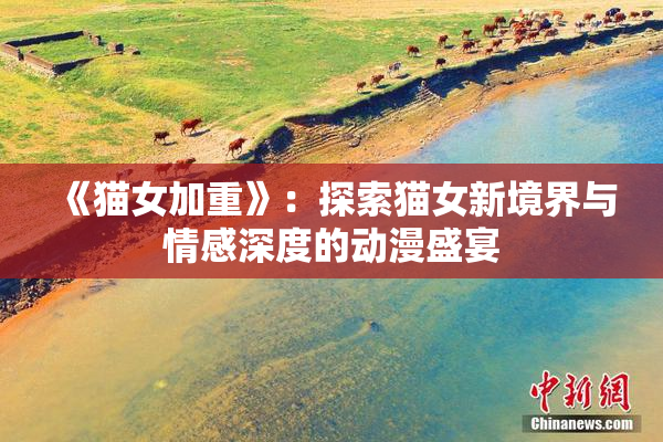 《猫女加重》：探索猫女新境界与情感深度的动漫盛宴