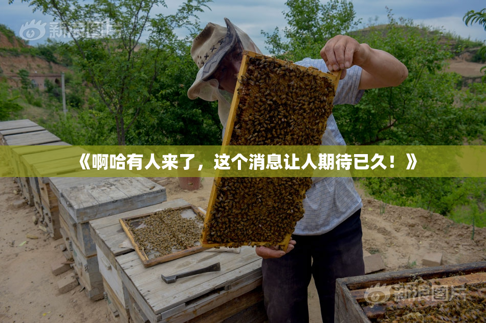 《啊哈有人来了，这个消息让人期待已久！》