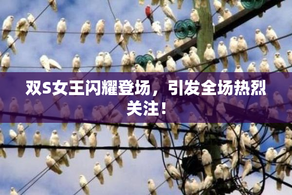 双S女王闪耀登场，引发全场热烈关注！