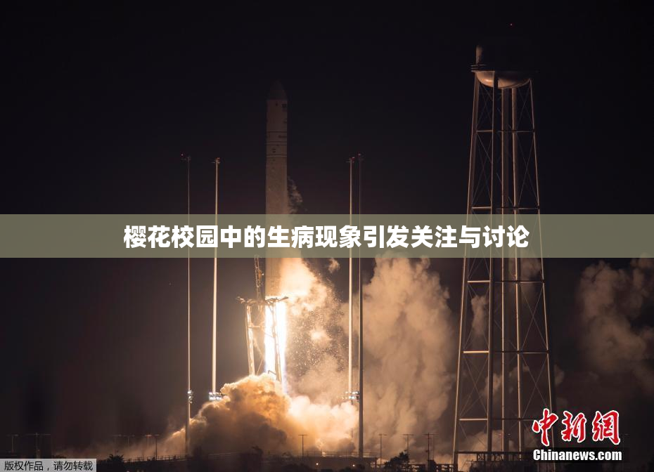樱花校园中的生病现象引发关注与讨论
