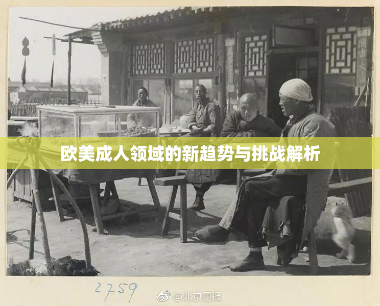 欧美成人领域的新趋势与挑战解析
