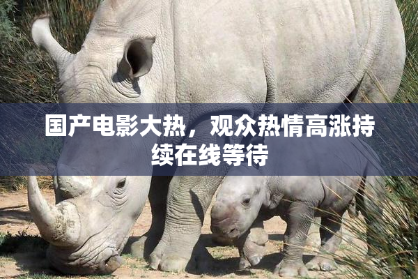 国产电影大热，观众热情高涨持续在线等待