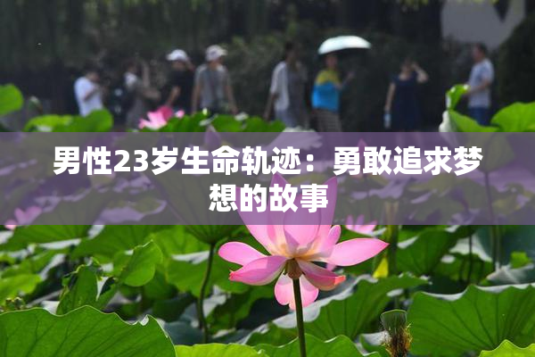 男性23岁生命轨迹：勇敢追求梦想的故事