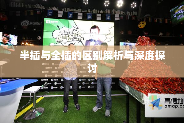半插与全插的区别解析与深度探讨
