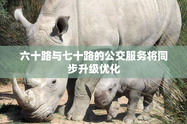 六十路与七十路的公交服务将同步升级优化