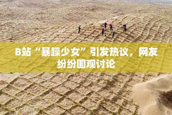 B站“暴躁少女”引发热议，网友纷纷围观讨论