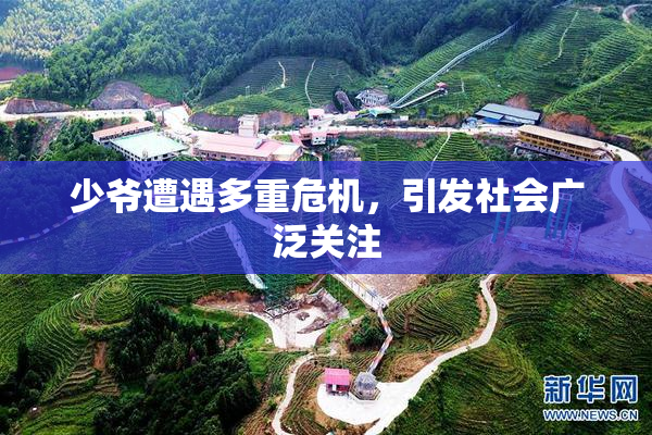 少爷遭遇多重危机，引发社会广泛关注