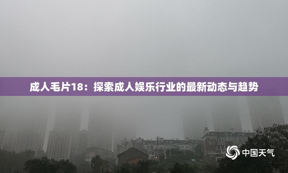 成人毛片18：探索成人娱乐行业的最新动态与趋势