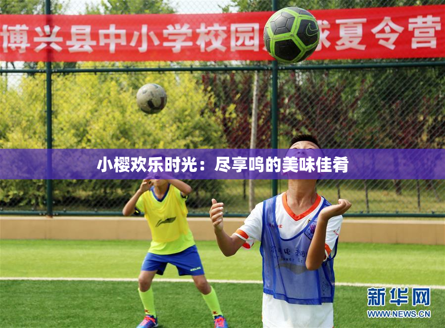小樱欢乐时光：尽享鸣的美味佳肴