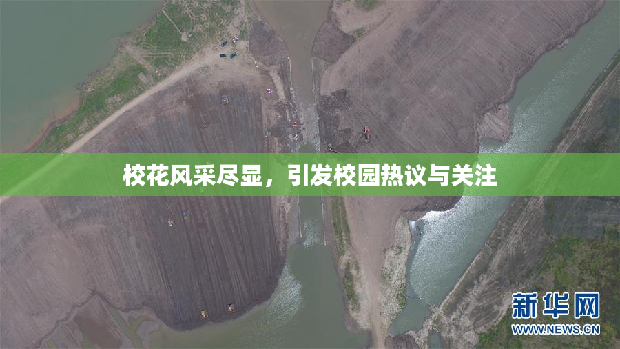 校花风采尽显，引发校园热议与关注