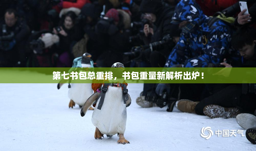 第七书包总重排，书包重量新解析出炉！