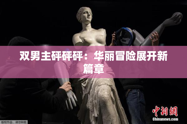 双男主砰砰砰：华丽冒险展开新篇章