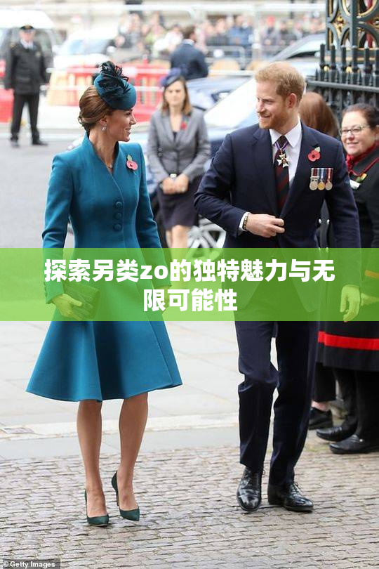探索另类zo的独特魅力与无限可能性