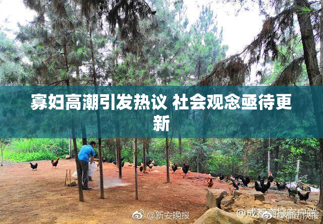 寡妇高潮引发热议 社会观念亟待更新