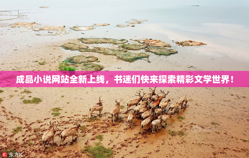 成品小说网站全新上线，书迷们快来探索精彩文学世界！