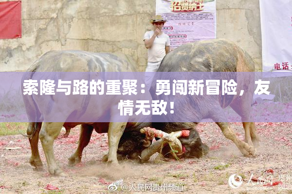 索隆与路的重聚：勇闯新冒险，友情无敌！