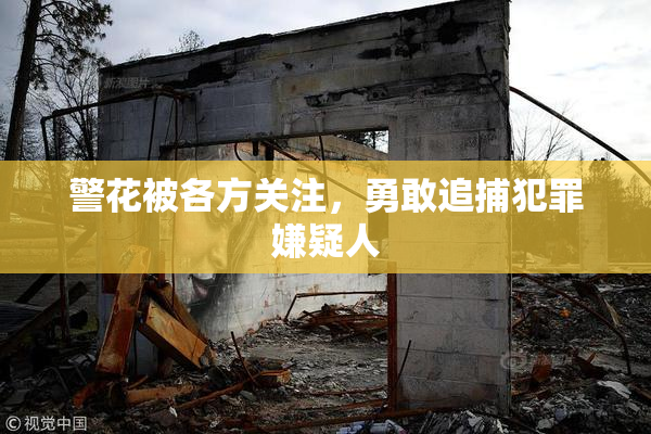 警花被各方关注，勇敢追捕犯罪嫌疑人