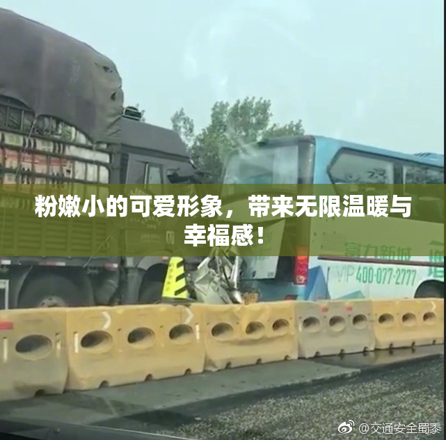 粉嫩小的可爱形象，带来无限温暖与幸福感！