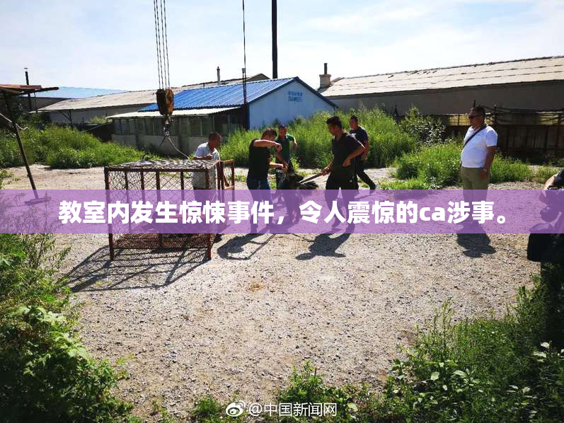 教室内发生惊悚事件，令人震惊的ca涉事。