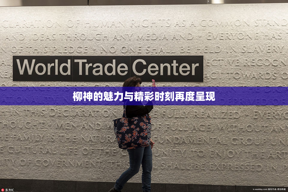 柳神的魅力与精彩时刻再度呈现