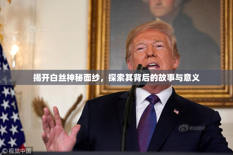 揭开白丝神秘面纱，探索其背后的故事与意义