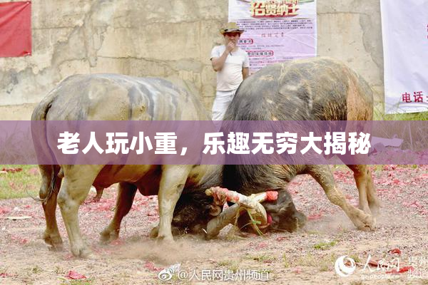 老人玩小重，乐趣无穷大揭秘