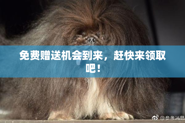免费赠送机会到来，赶快来领取吧！