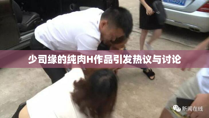 少司缘的纯肉H作品引发热议与讨论